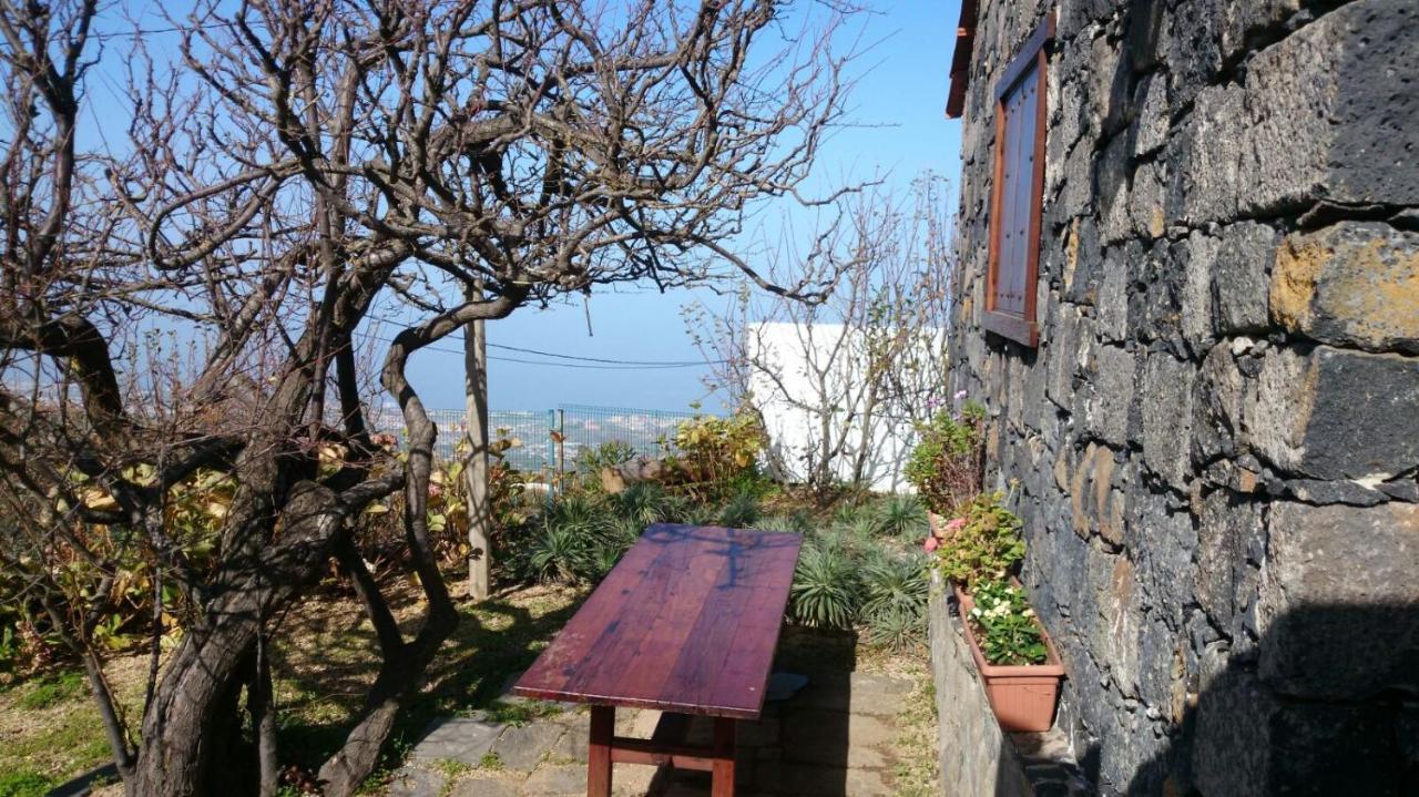 El Pajar De Ines Guest House La Orotava Eksteriør bilde