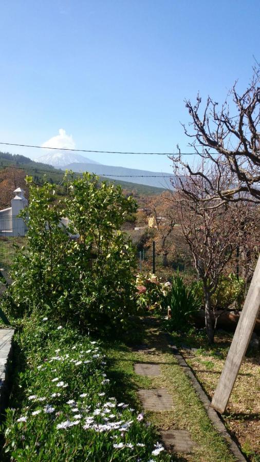 El Pajar De Ines Guest House La Orotava Eksteriør bilde